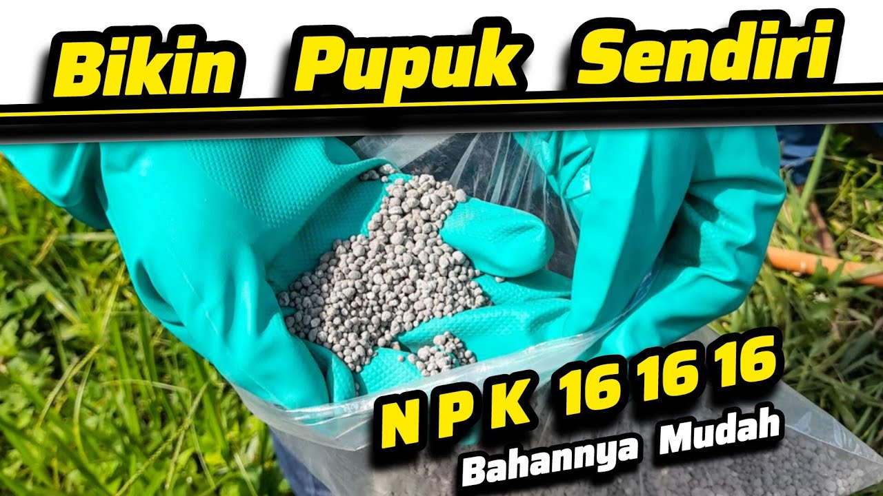 ✅ Cara Buat Pupuk NPK Sendiri ✅ Cara Hitung Rumus Pencampuran Pupuk NPK Mutiara 16 16 16 Biru ♻️