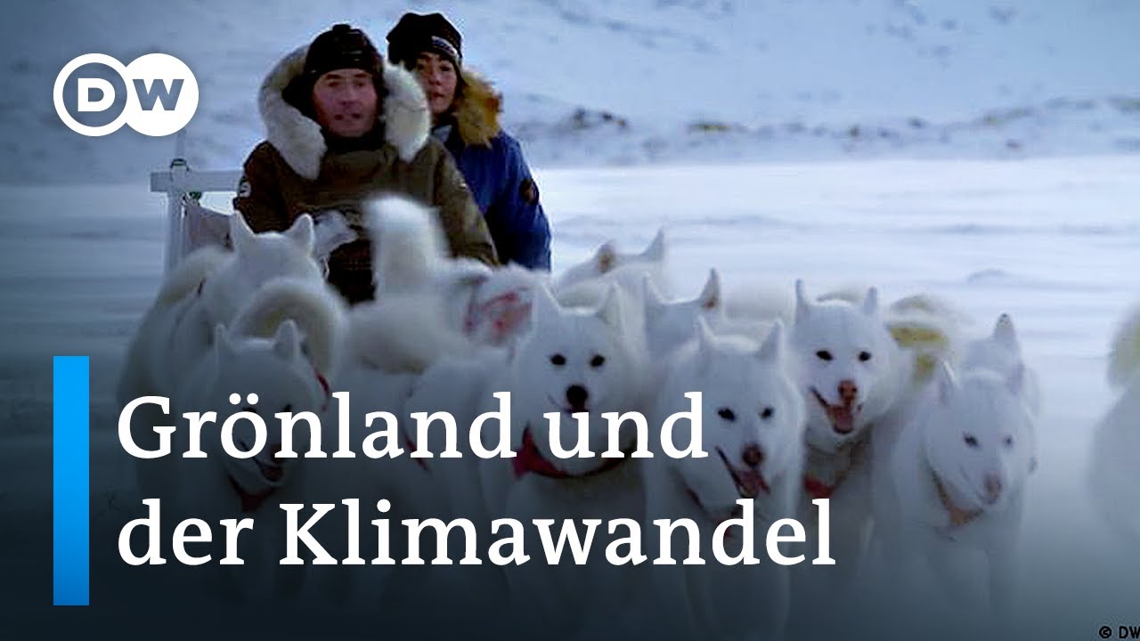 Grönland: Schlittenhunde auf schmelzenden Gletschern | Fokus Europa