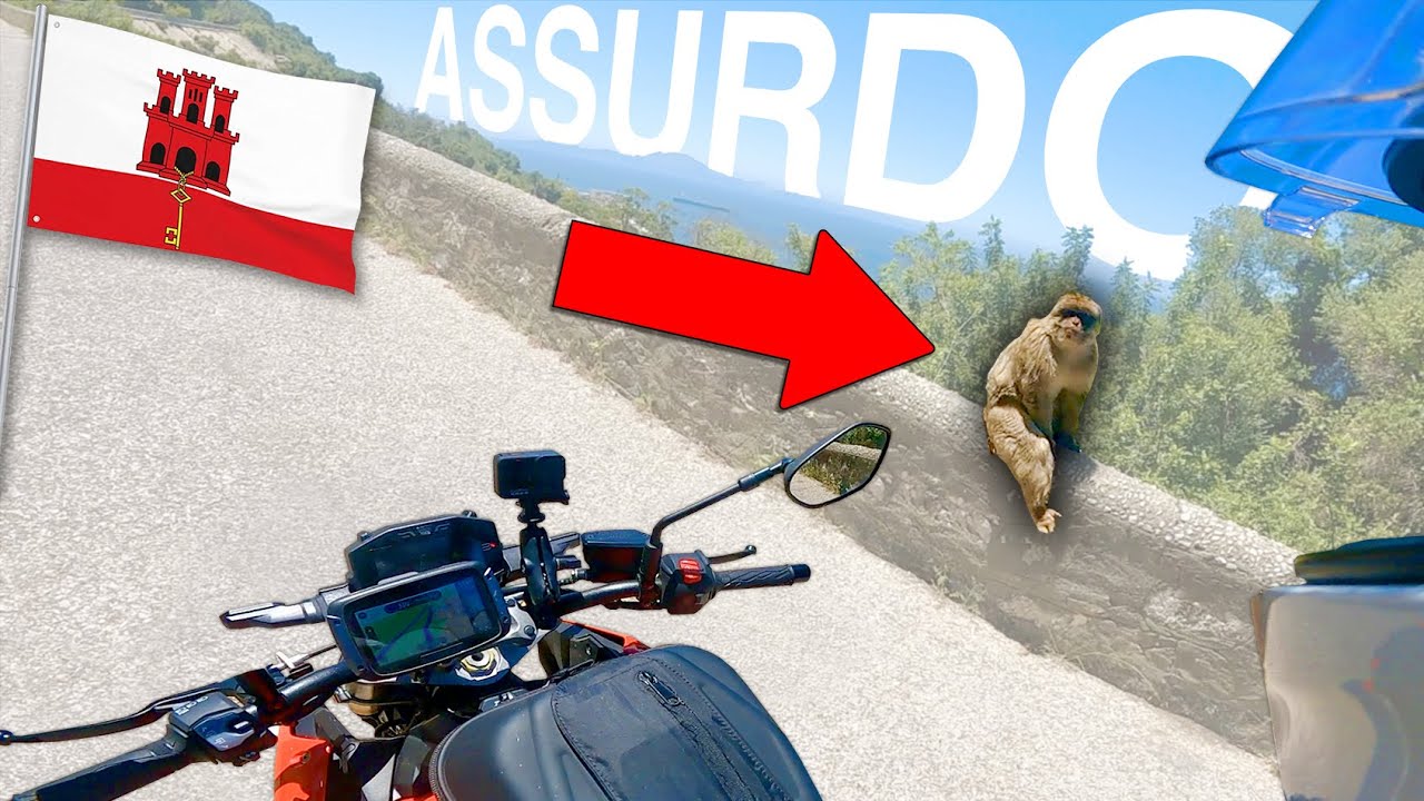 SCIMMIA in STRADA! 🐒 che paese ASSURDO! 🇬🇮 - PARTE 5 | Andalusia 2022