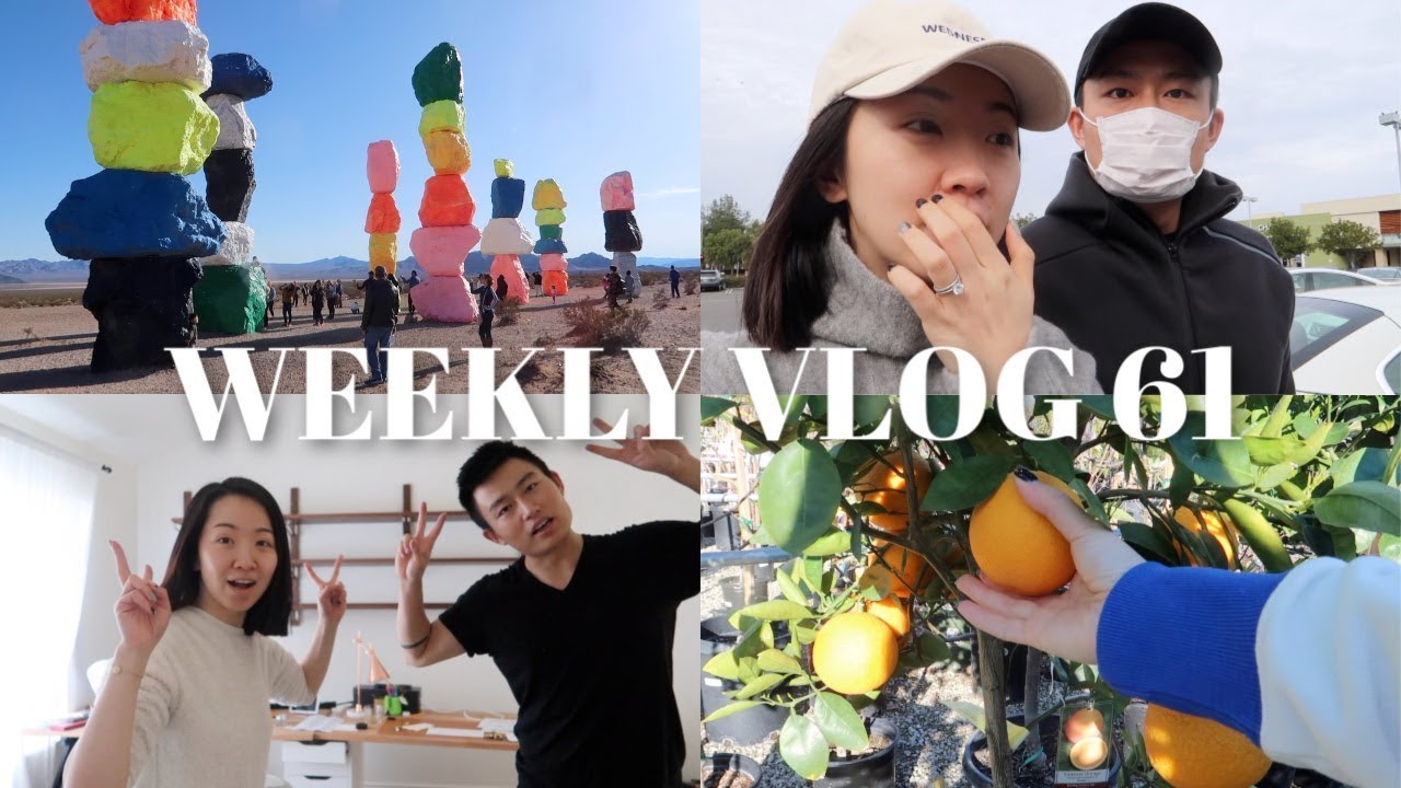 WEEKLY VLOG 61 | Vegas回来就发烧病怏怏的一周😷涤纶的减肥餐🥦新家具Update🏠选树苗🌲