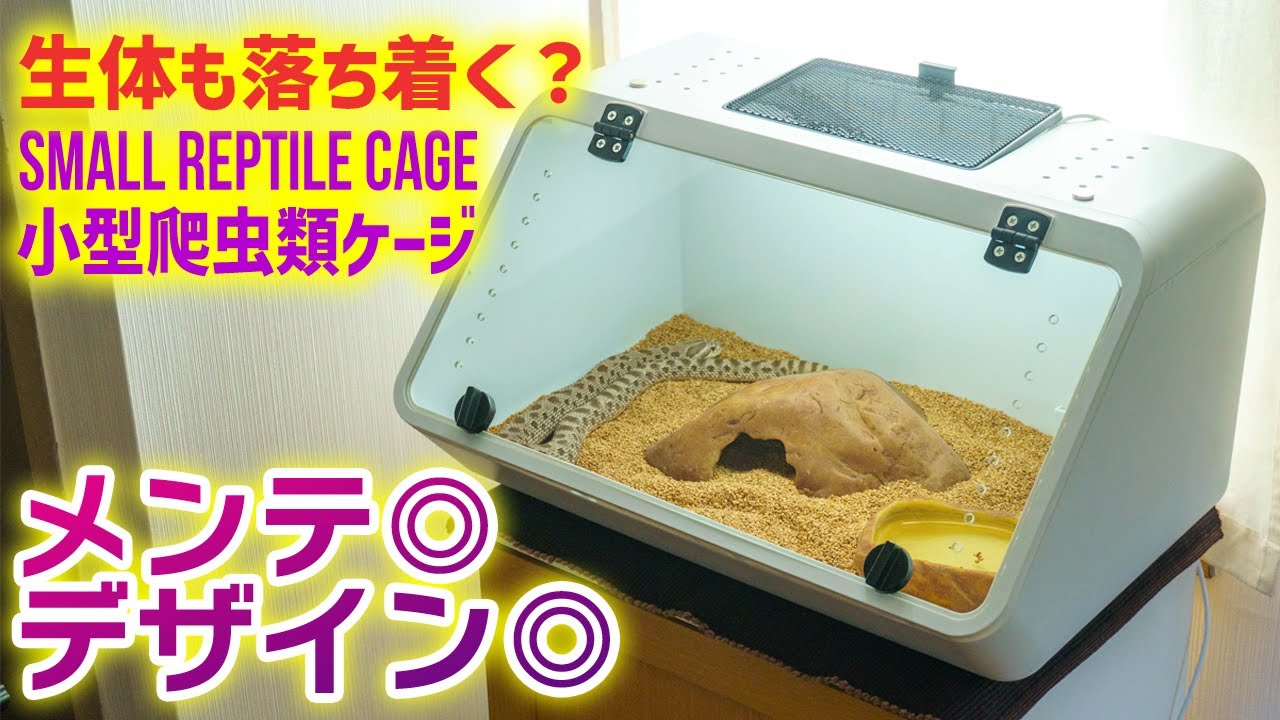 おしゃれな小型爬虫類ケージをレビュー！メンテナンスもしやすく観察もしやすい！ #ヘビ #爬虫類 【ビバアクア】