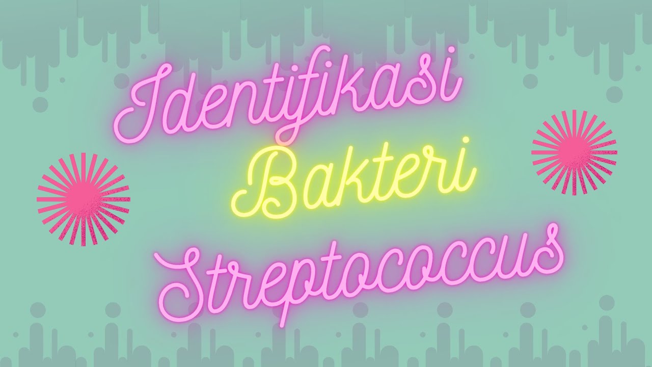 Identifikasi Streptococcus Kelompok 1 - D3 Teknologi Laboratorium Medis Universitas Airlangga