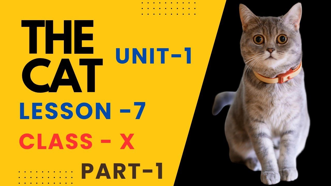 THE CAT | Class-X | Lesson-7 | English | Madhyamik 2026-27 | Part-1📚📖