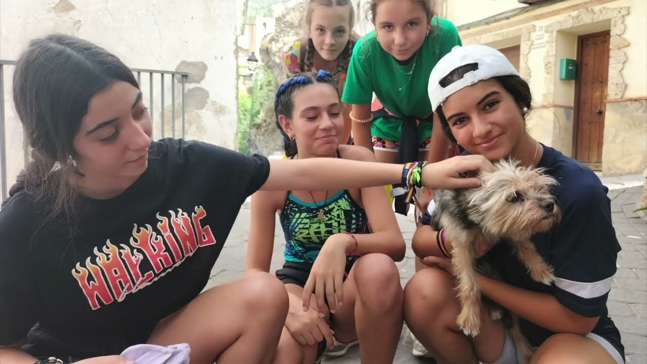 VI Campamento Supervivientes 
