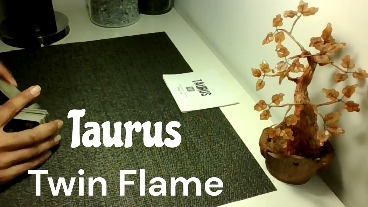 Taurus ♉ Twin Flame 💞 DM to DF: What They’re Hiding, Feeling & Thinking | Love Tarot Reading
