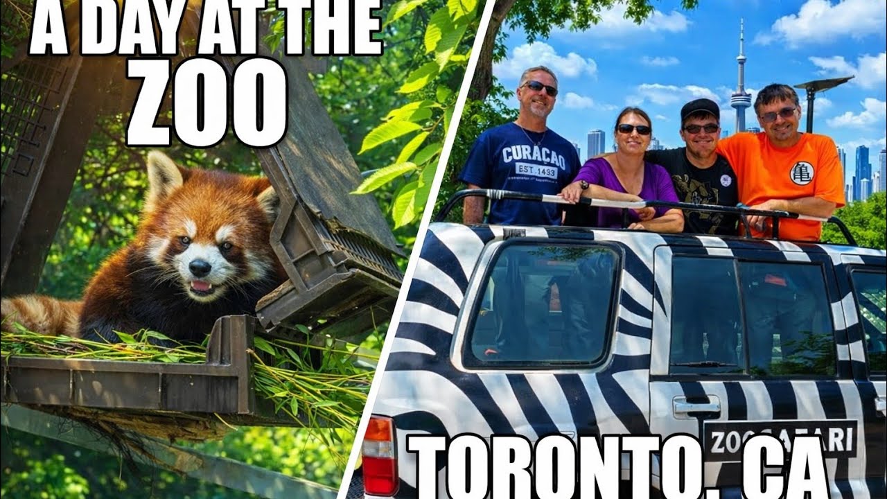 Toronto Zoo Surprised US With Unexpected Animals and Size!