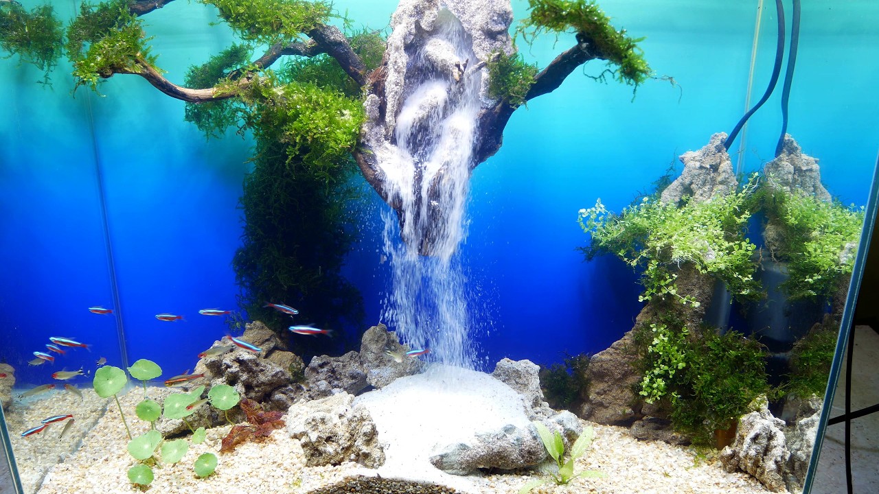SAND WATERFALL AQUARIUM - Step by Step Aquascape Featuring Underwater Sand Waterfalls