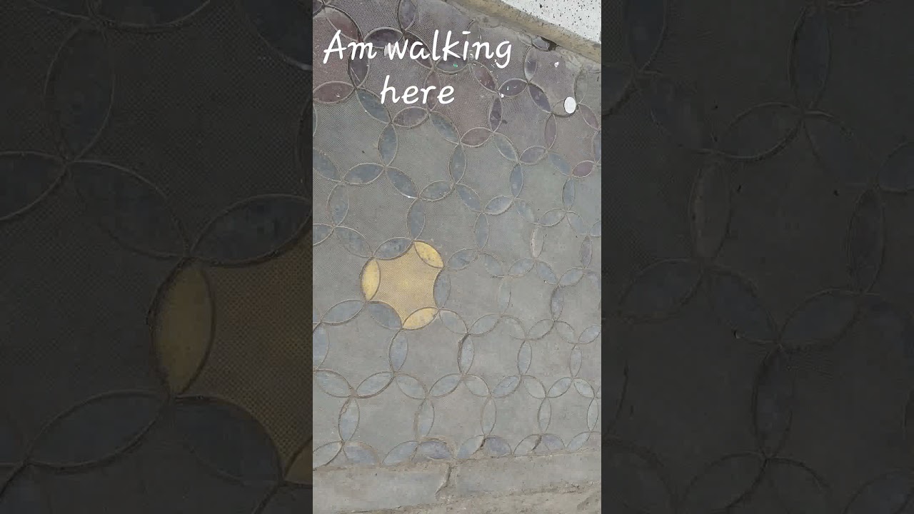 #diamondplatinum #diamond #walking