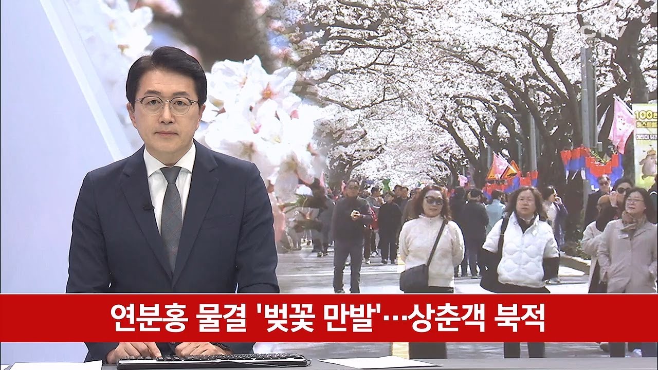 연분홍 물결 '벚꽃 만발'…상춘객 북적