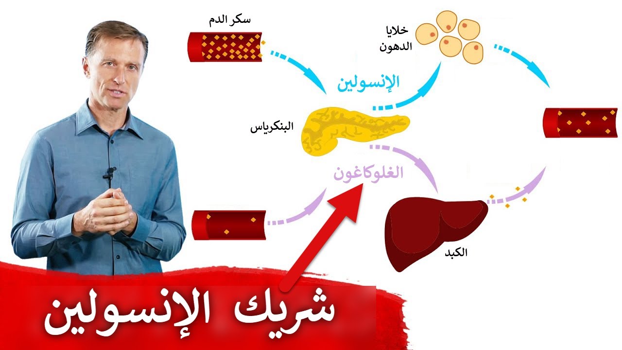 هذا الهرمون يجهله الناس لا يقل أهمية عن الإنسولين | الغلوكاغون