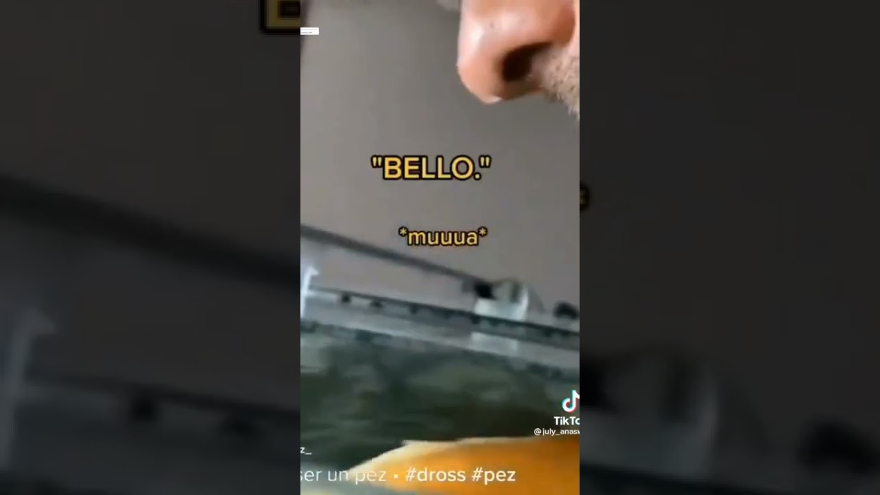 Mussolini maleducado 😡😡