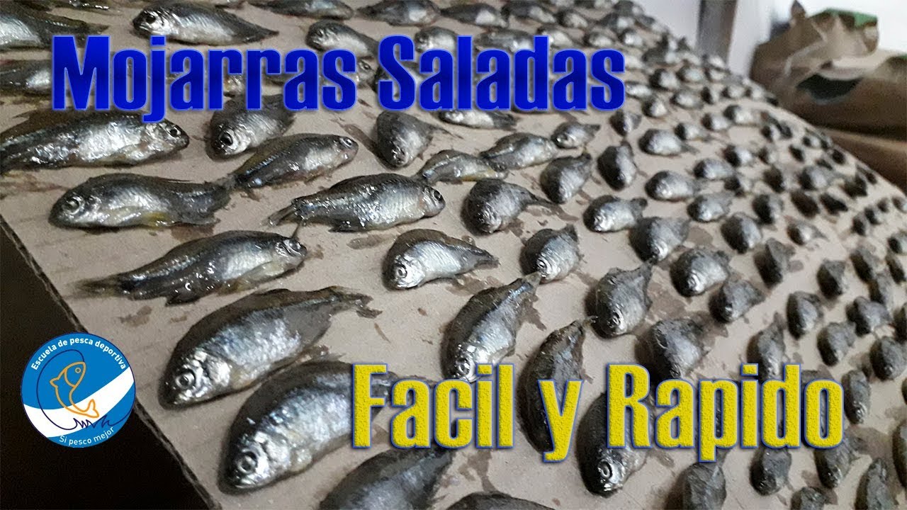 MOJARRA SALADA / FÁCIL Y SIN VUELTAS !!!