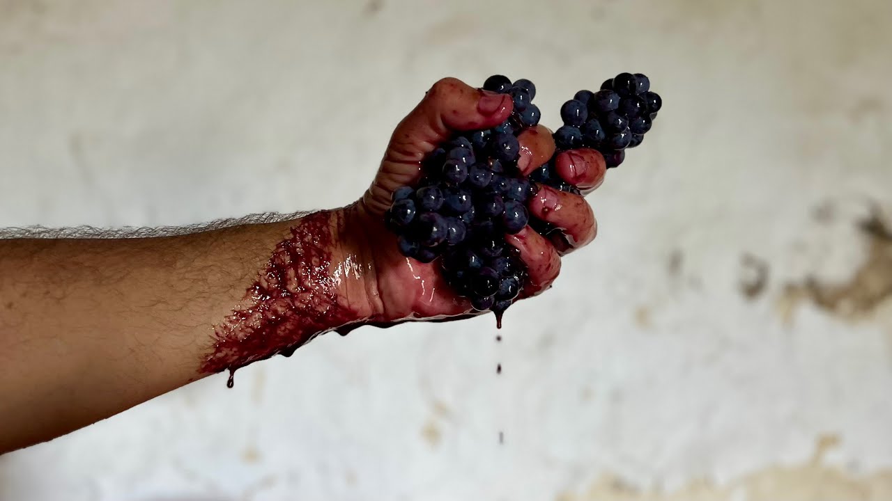VINO fatto in casa - PIGIATURA ed inizio FERMENTAZIONE