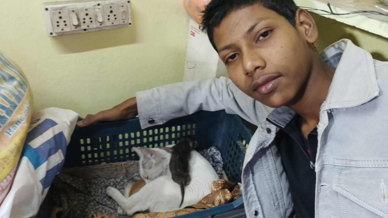 Hamare ghar ka new mehmaan 😺😻