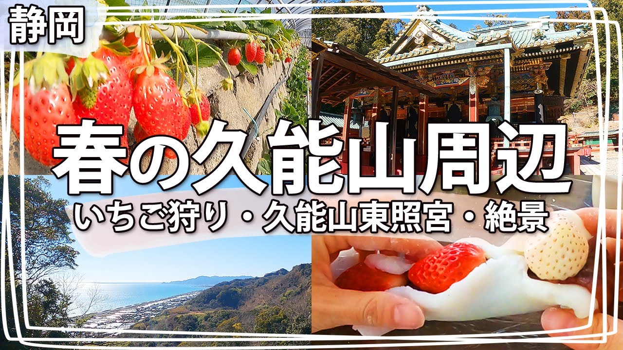 【静岡観光】静岡市の『いちご狩りデート』はコレで決まり♪久能山東照宮の階段で吊り橋効果アリ！？いちご大福作りも楽しい♪