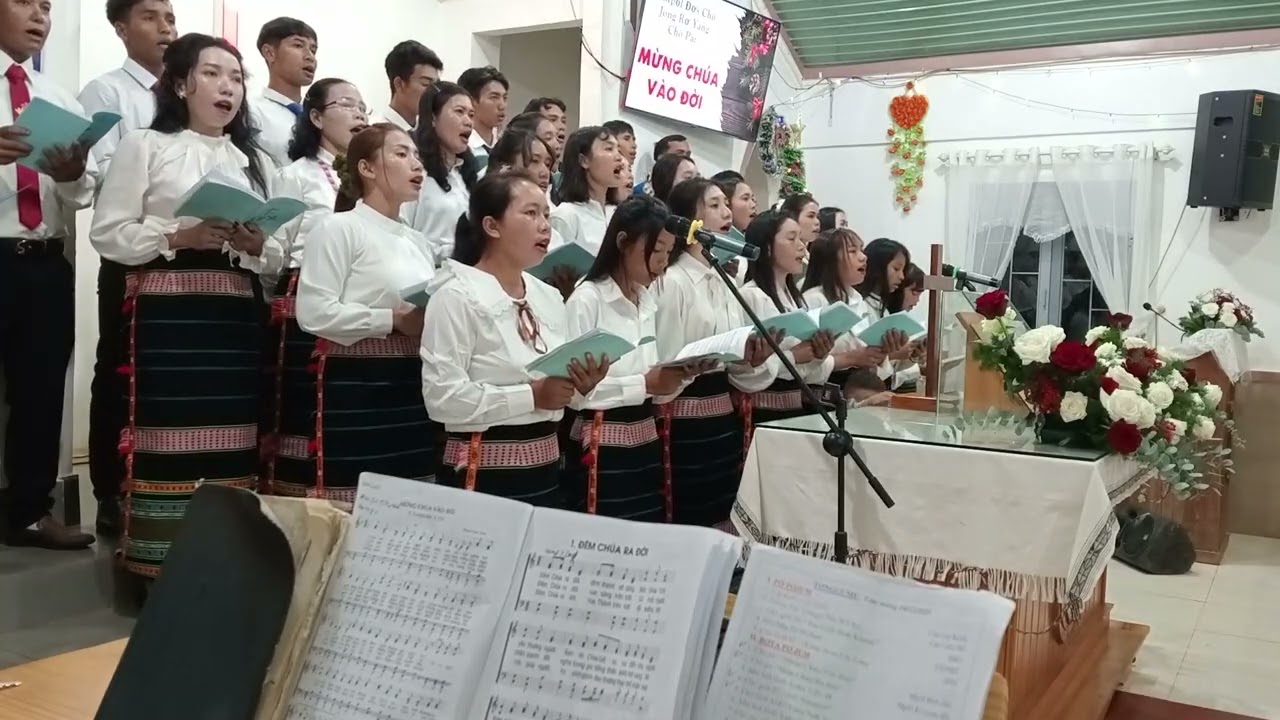 Mừng chúa vào đời 
