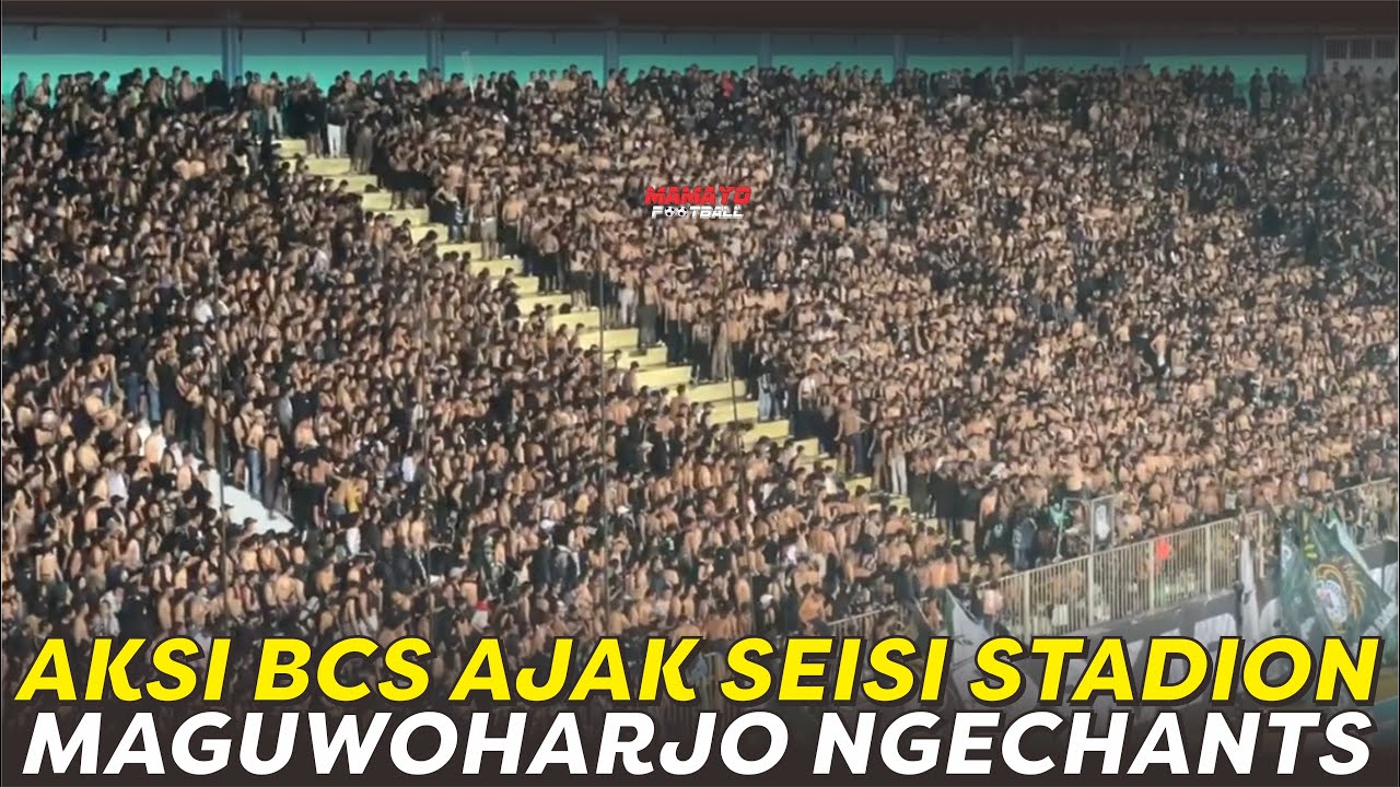 KEKOMPAKAN BCS YANG TAK DIMILIKI SUPORTER LAIN 🔥 AKSI BCS AJAK SEISI STADION NGECHANTS FORZA SLEMAN