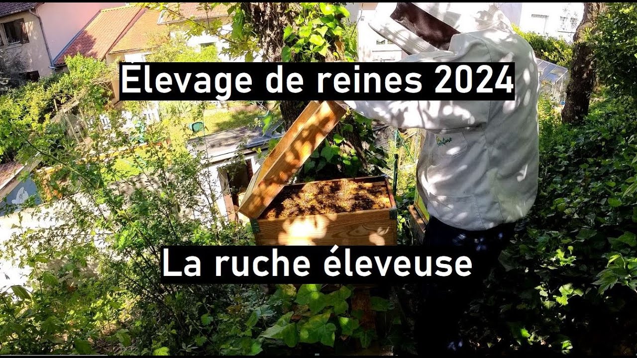 Saison 02 - épisode 16 : La ruche éleveuse
