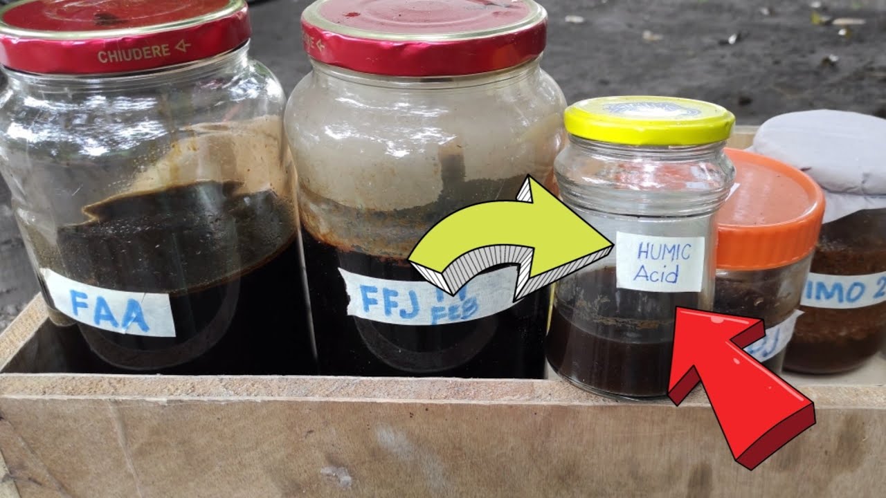 Homemade Humic Acid | How to Make Humic Acid