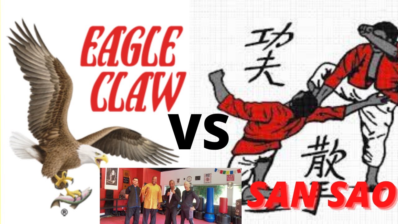 Kung fu for Combat | San Sao meets Northern Shaolin Eagle Claw Kung fu | Ying Jow Pai.