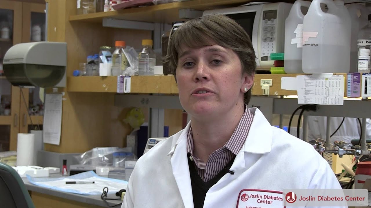 Exercise Training Alters Subcutaneous White Adipose Tissue (scWAT)