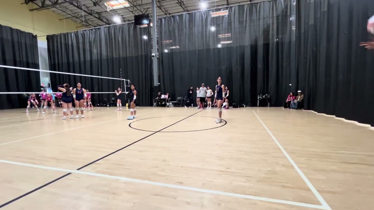 Mila (setter) Storm v. 951 @ Clava set 2