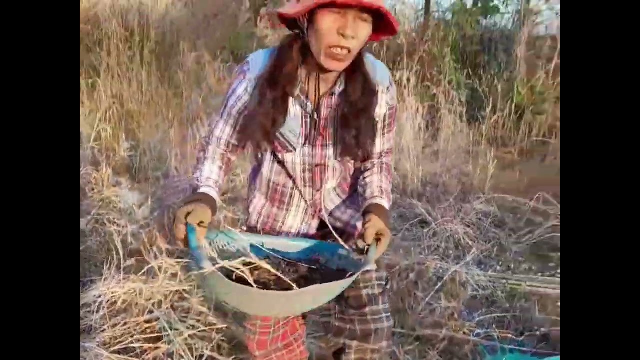 เตรียมพื้นที้สำหรับทำฟาร์มเห็ดฟาง