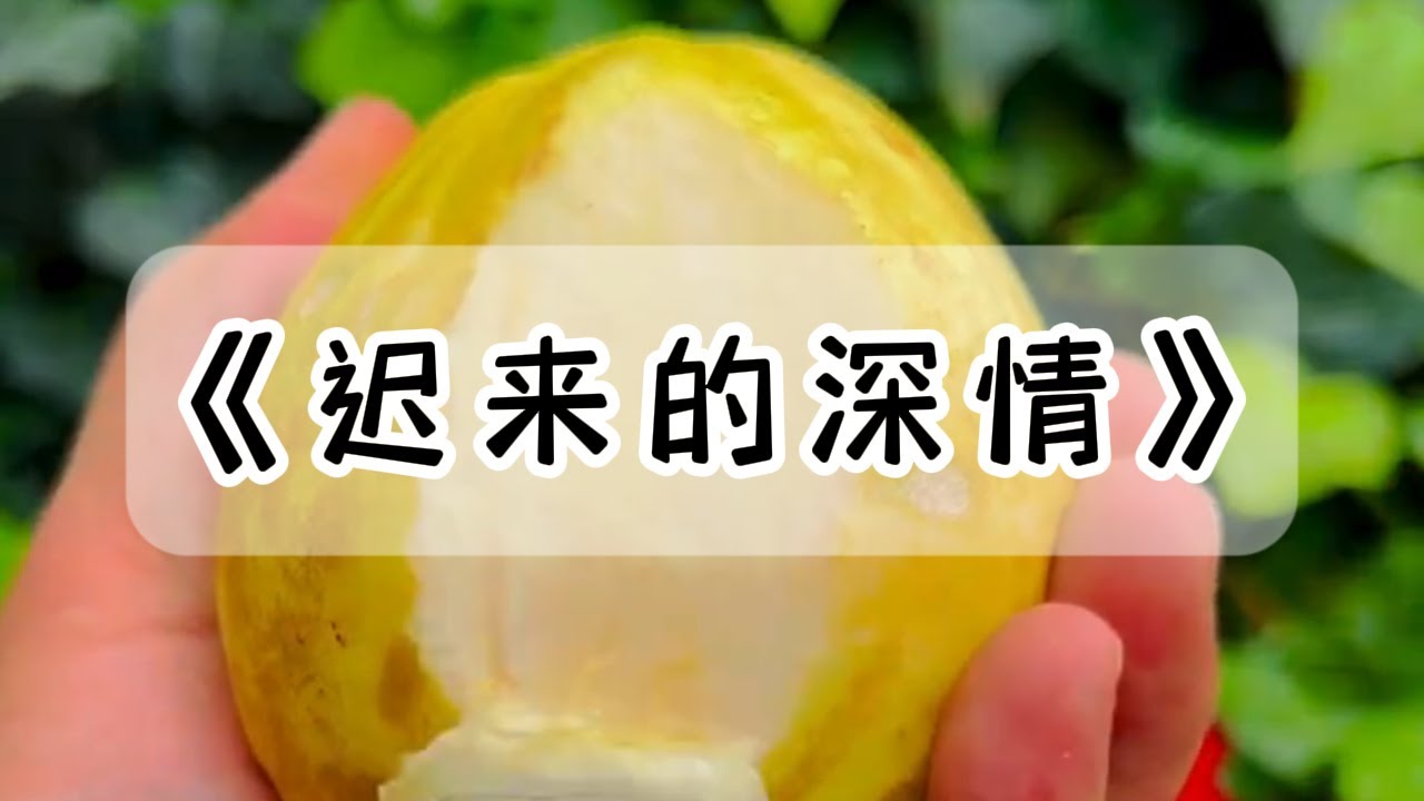 结婚六年，我想离婚了。老公却对我说：每个月给你五十万，你的事情我绝不插手，我的事情你也别管#小说 #故事