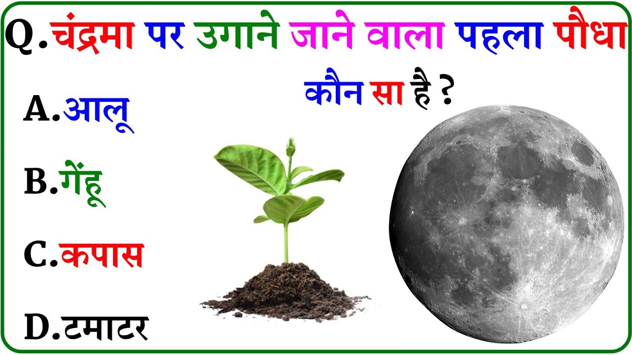GK Question || GK In Hindi || GK Question and Answer || GK Quiz ||