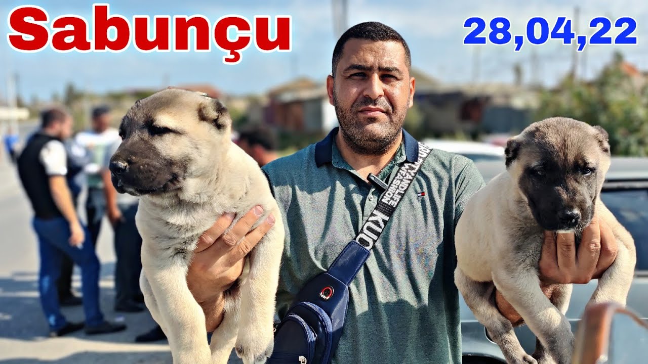 Sabunçu İT Bazarı 28 Aprel 2024 @mubarizemintv2271