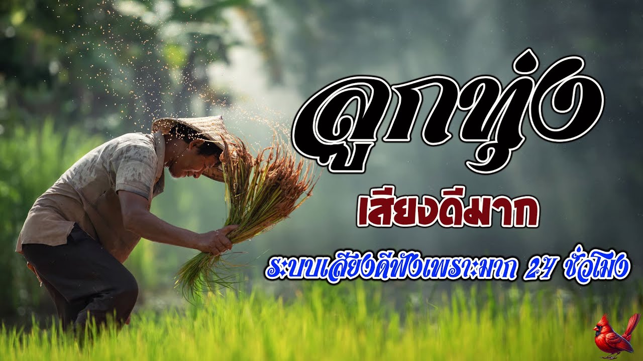 กทุ่งเสียงดีมาก ระบบเสียงดีฟังเพราะมาก คัดพิเศษเพลงลูกทุ่งฟังเพราะ 100% #เสียงดี