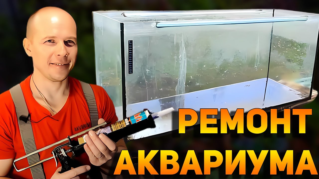 Как отремонтировать аквариум дома без разбора своими руками! РЕМОНТ ПРОТЕКАЮЩЕГО АКВАРИУМА!