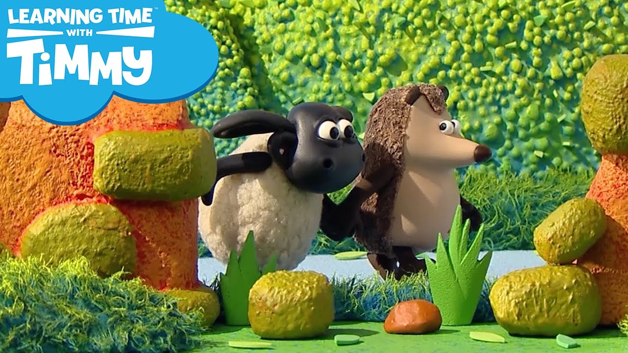 Healthy Snacks / Favourite Things | Learning Time with Timmy | Pre-School Learning | Fun for Kids