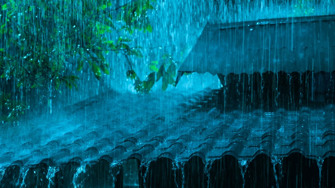 (NO ADS) Beat tinnitus with Heavy Rain & Terrible Thunder in Tin Roof in the Deep Forest at Night