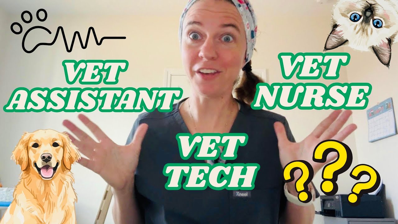 What's the DIFFERENCE between a Vet Assistant, a Vet Tech, and a Vet Nurse?