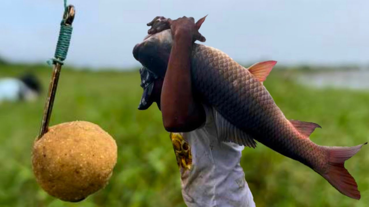 Fishing | Hook Fishing | Fishing Videos | How To Float Fishing Techniques | Fish Catching