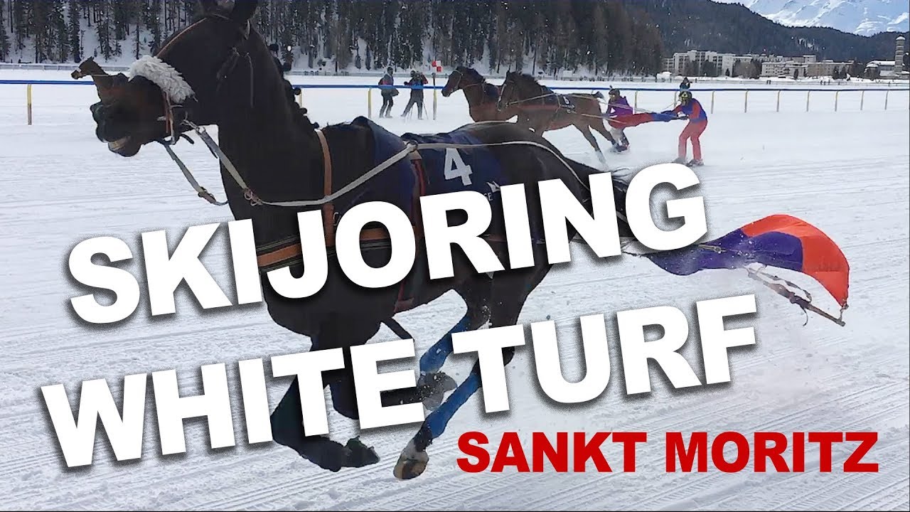 SKIJORING WHITE TURF - Sankt Moritz 2018