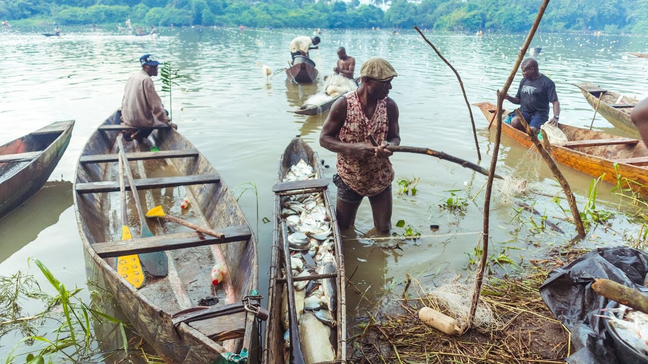 Africa's Forbidden Lake:  Why No One Dares To Fish Here for 4 Years