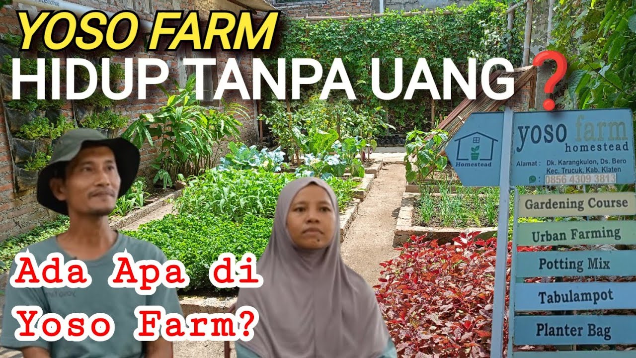 HIDUP TANPA UANG DI YOSO FARM? BENARKAH? YUK KITA LIHAT ADA APA SAJA DI YOSO FARM..