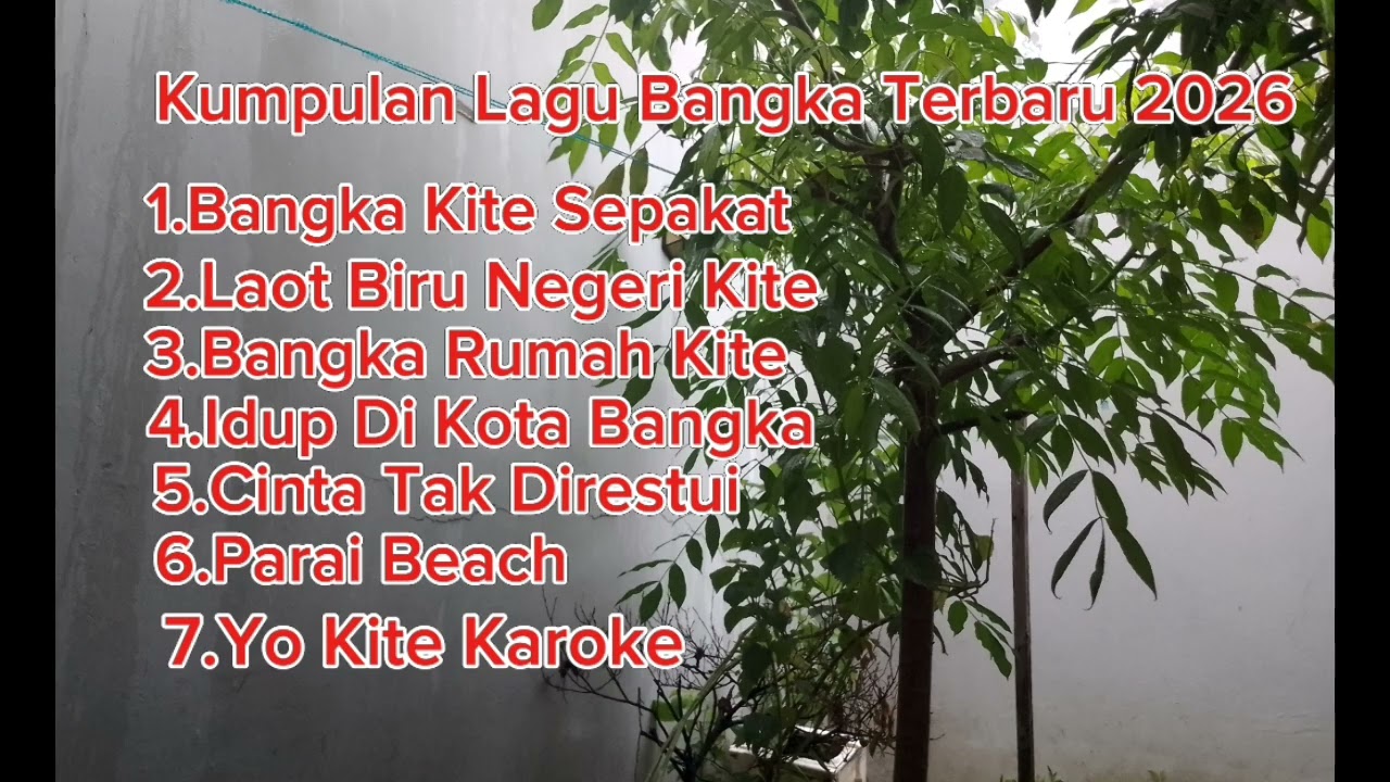 Kumpulan lagu-lagu Bangka terbaru 2026 #musik terbaru #dj tiktok terbaru #remix #semi remix #musik
