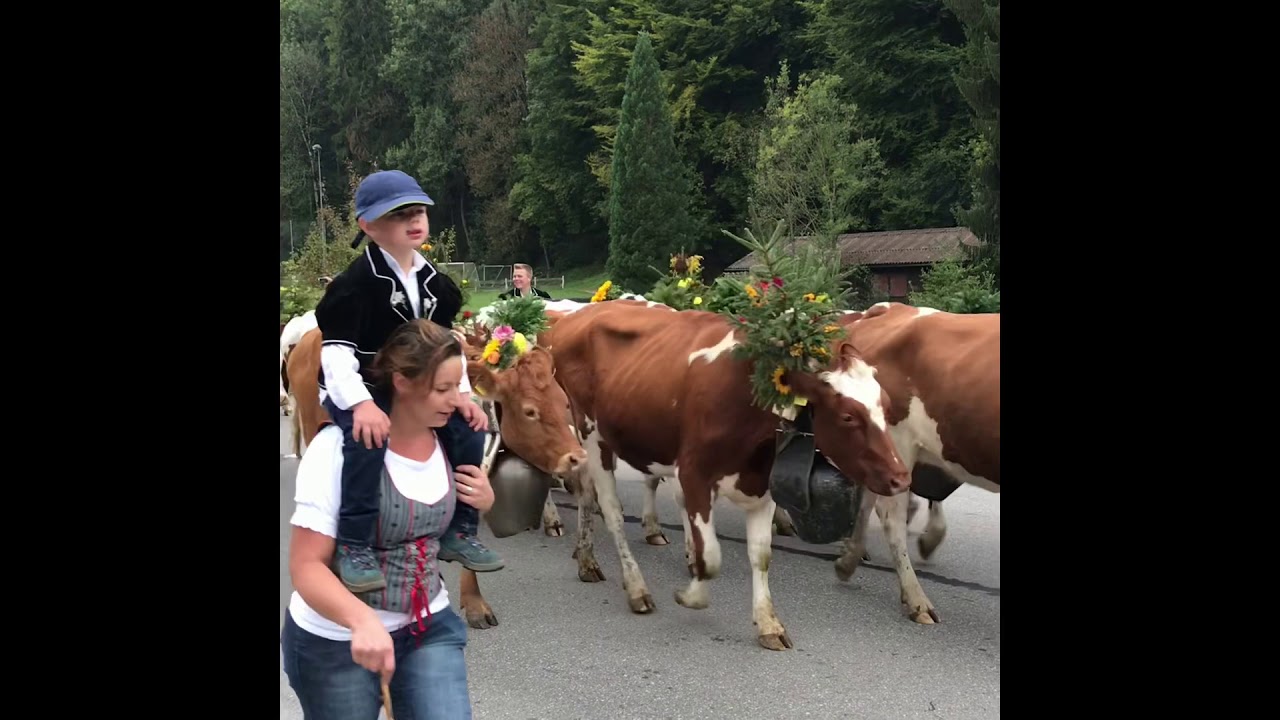 Alpabzug Warme Seite 2018