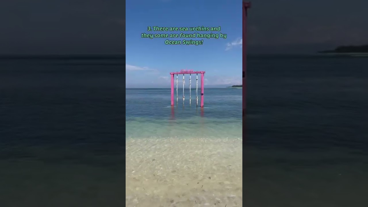 5 Things No One Tells You About The Gili Islands #shorts #giliislands