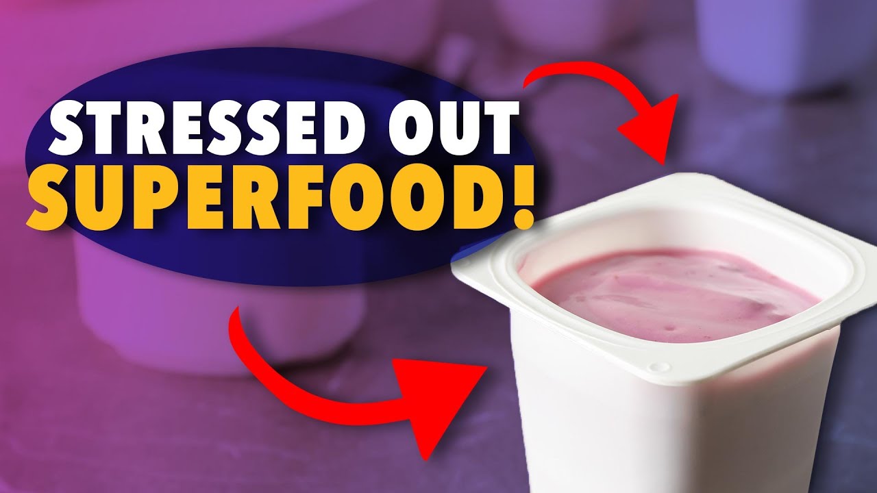 The best yogurt you’ll EVER eat? | Ep132
