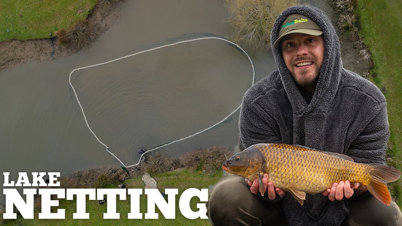 Stocking NEW CARP Into Our Pond! ParkerBaits Lake Netting