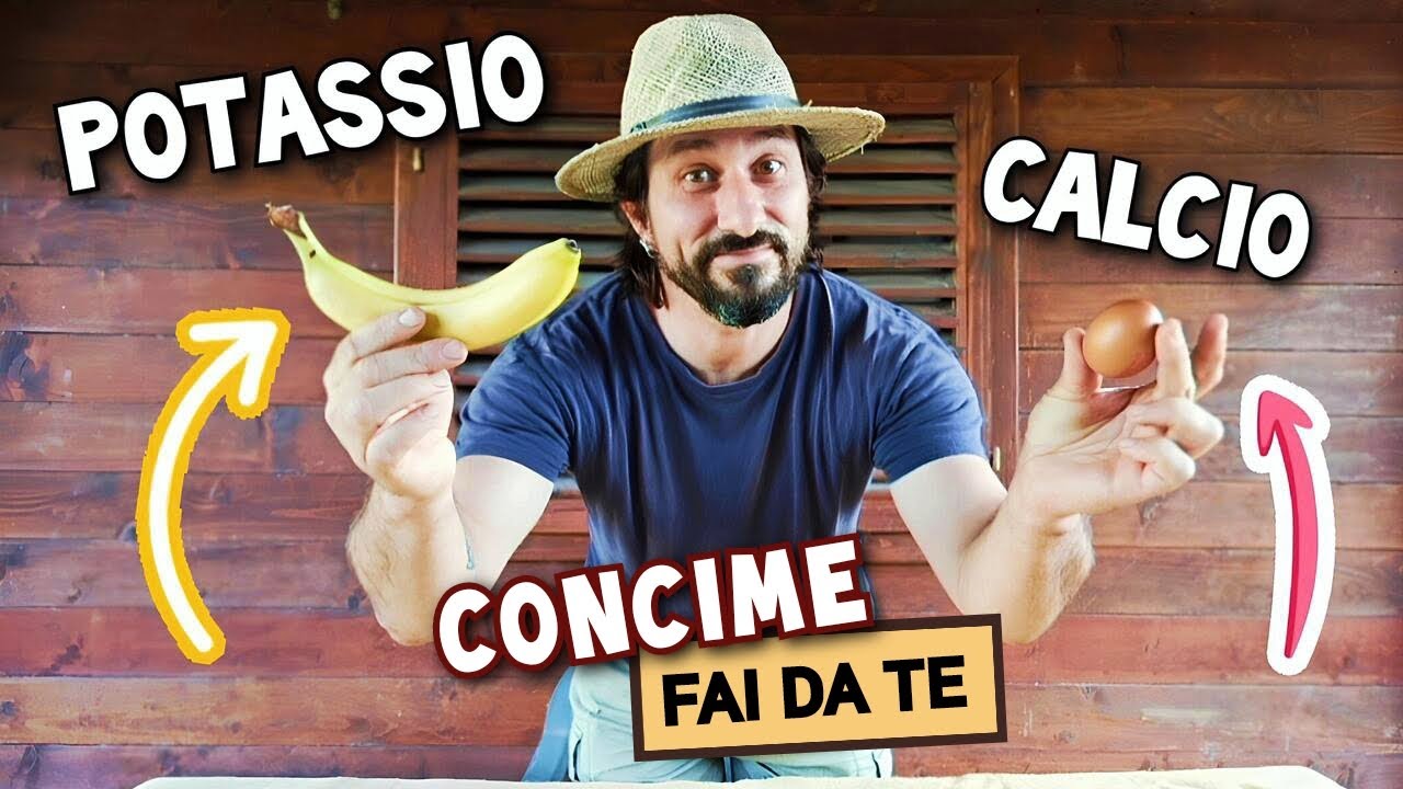 Concime fai da te - diamo potassio e calcio alle nostre piante con bucce di banana e gusci d'uova
