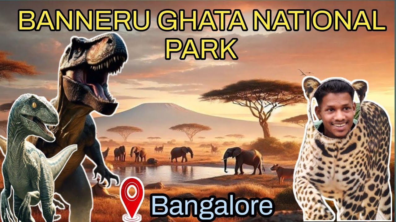 Bannerghatta National park 🐘 Bannerghatta Biologica Park safari🦓 Bangalore National Park safari 🐯