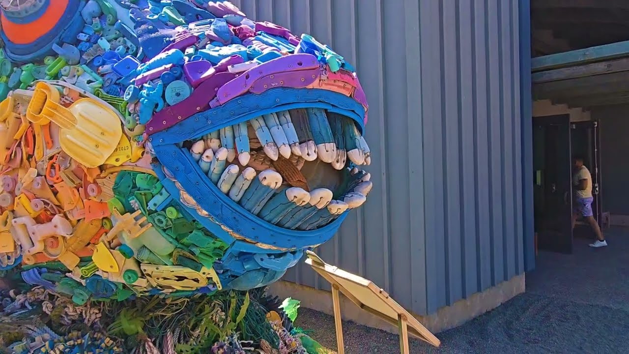 This Aquarium Blew Us Away – Puffins, Trash Art & Coastal Coolness