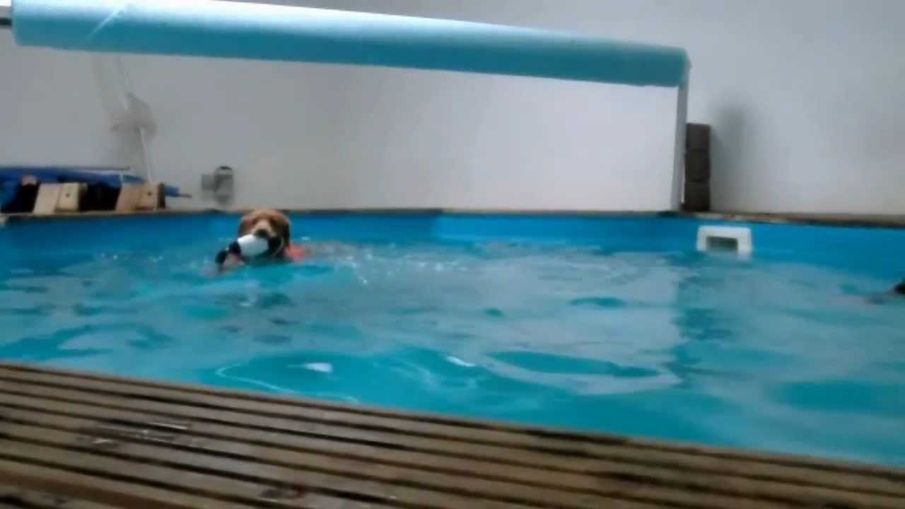 Toller Pool Party - Gangwerk D&uuml;sseldorf