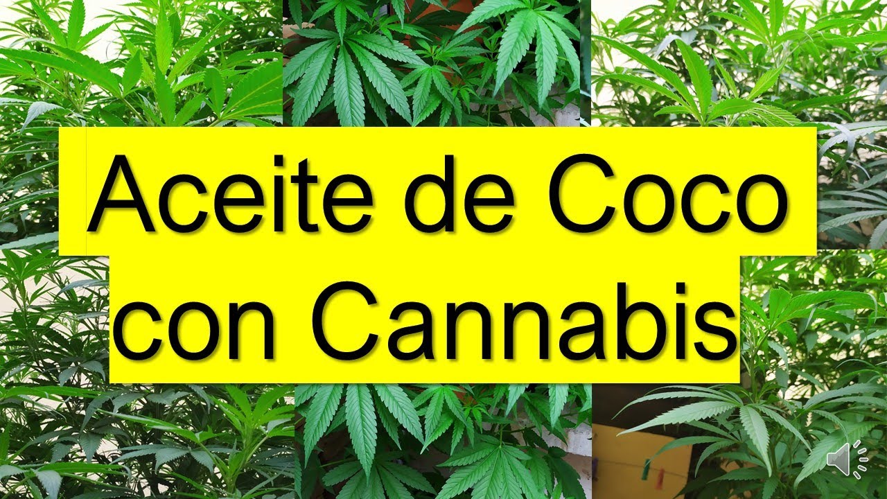 Como hacer 