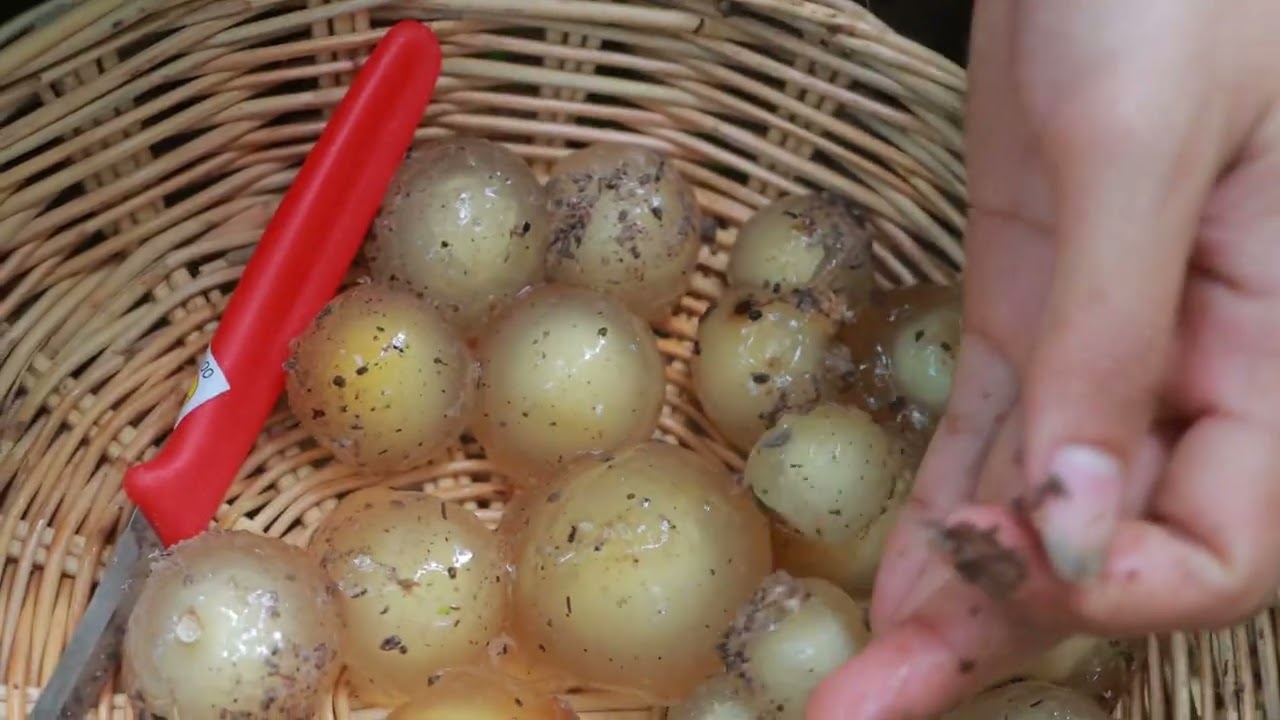 Have You Ever Seen This Wild Mushroom Used for Dessert? Would You Try It?